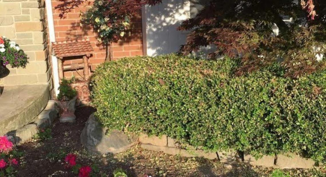 Cobblestone Bed And Breakfast Niagara-on-the-Lake Exteriör bild